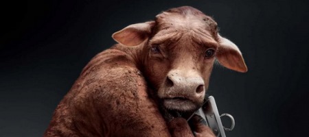 «Быки» испугались политической напряженности