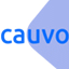 Обзор брокера Cauvo Capital